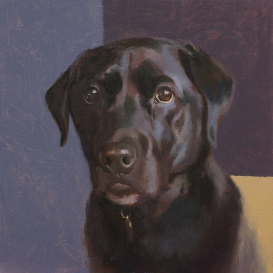 Portrait of a black lab by Simon Bland