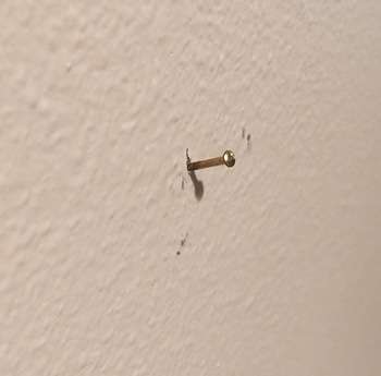 A nail used for hanging a painting