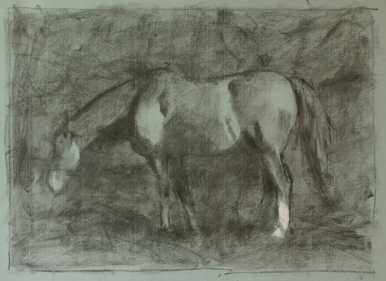 Shire Horse Charcoal Sketch (WIP). 14x20, charcoal on paper. 2017