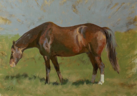 Shire Horse (WIP), oil on linen, 2017