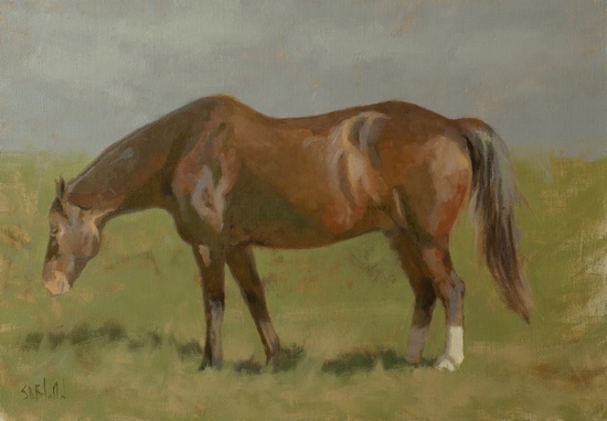 Horse. 14x20, oil on linen. 2017 painting by Simon Bland