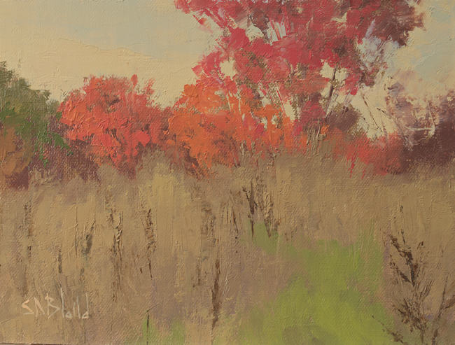 A tree with red foliage in a fall landscape with dry grasses in the foreground.