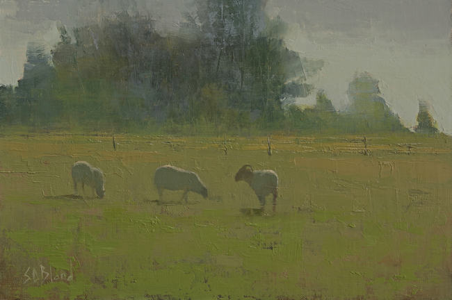 Three sheep in a green field with large mass of trees in the background.