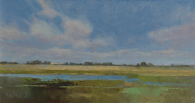 An upper midwest looking landscape with big sky, flat landscape and a small pond in the foreground.