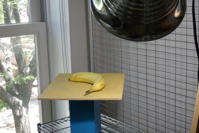 A photograph of part of an artist's studio with a still life set up in the center. It is being illuminated by artificial light shining directly at it.There is a window on the left.