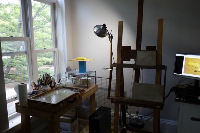 A photograph of the interior of an artist's studio showing how a still life is set up ready to be painted. The subject is illuminated by an artist's lamp that is attached to an easel on the right.