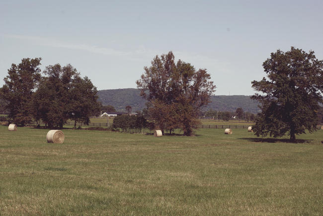A photo of a field on a farm in the Virginia Piedmont with some hay bales in the foreground