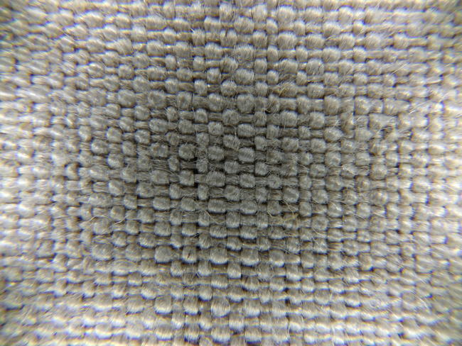 Image of raw linen canvas under a microscope