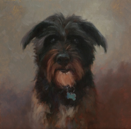 Portrait of dog Jackson.