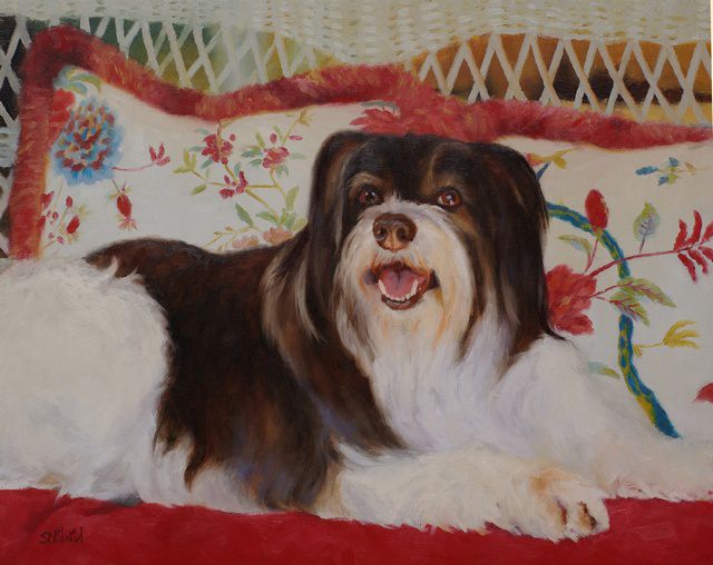 Oil painting of tibetan terrier Redford