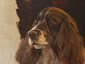 An oil painting of an English springer spaniel with dark vignette.