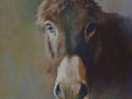 An oil portrait of a donkey