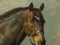 Oil painting of horse Patrick