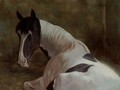 Oil painting of horse Topper