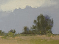 A small plein air landscape done at Discovery Park in Seattle, WA by artist Simon Bland