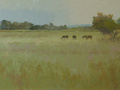 This wide-format landscape features horses grazing in an open field.