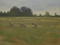 An oil painting by Simon Bland of sheep in a green field with a distant tree line.