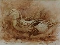 Transparent oil painting of a duck