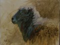 Oil painting of polled ram