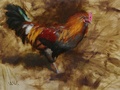 An oil painting of the rooster at George's Mill Farm in Lovettsville, VA.