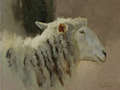 oil painting of a sheep