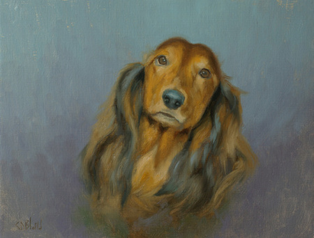 Commissioned portrait of Tootsie, a long haired Dachshund